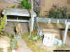 Japanese military cemetery in the jungle 1-72 (12).JPG (131345 Byte)